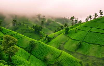 Wayanad, India